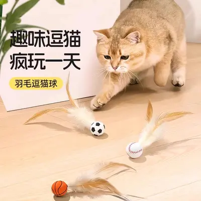 新品猫咪玩具弹力球羽毛跳跳球宠物自嗨解闷神器逗猫玩具宠物用品