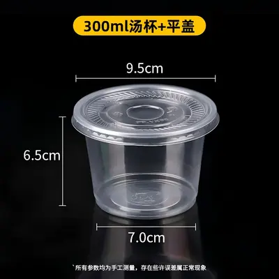 Einweg-Kunststoffschüssel transparent mit Deckel, Lunchbox - 8