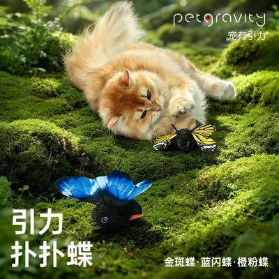 Yinli Pet Laser Interactive Cat Toy with Feather Replacement Accessories Kitten Teaser Wand USB Rechargeable