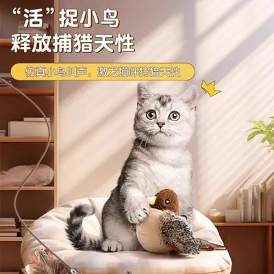 猫玩具自嗨解闷神器逗猫棒仿真会叫小鸟老鼠耐咬发声猫咪用品大全