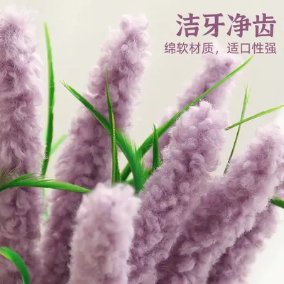 Lavender Cat Teaser Wand, Long Handle with Bell Toy