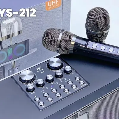 YS-212 Kablosuz Bluetooth Hoparlör, Çift Mikrofonlu Karaoke, LED Işıklı