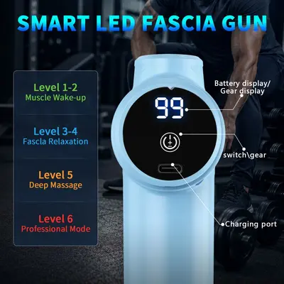 Mini Fasya Tabancası Çok Başlı Elektrikli Masaj Cihazı LCD