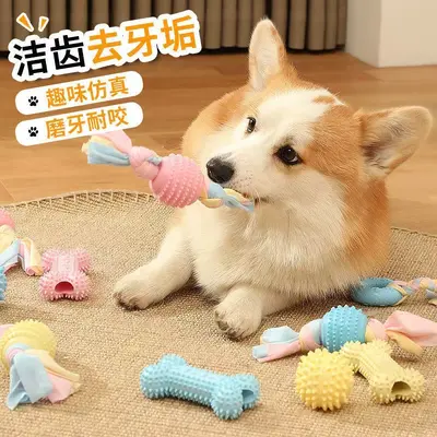 Etiketleme ve nakliye sınır ötesi köpek oyuncak seti TPR örgülü ip kedi ve köpek oyuncakları diş temizleme ve molar çubuk evcil hayvan malzemeleri