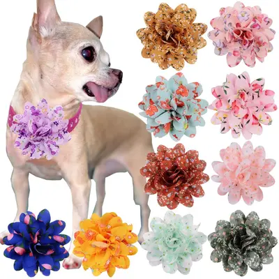 Floral Pet Collar Fabric, 8 cm, Chiffon