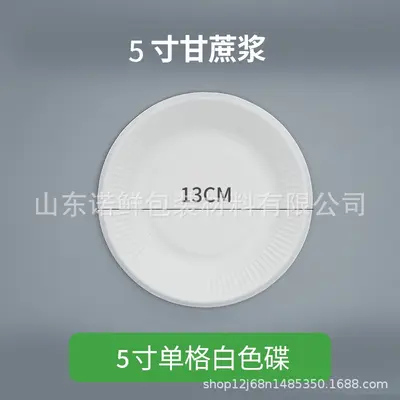 Disposable Eco-Friendly Paper Plates, Square and Oval, Picnic and BBQ - 10