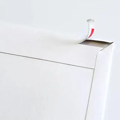 Thick Waterproof Large White Courier Envelope, Blank