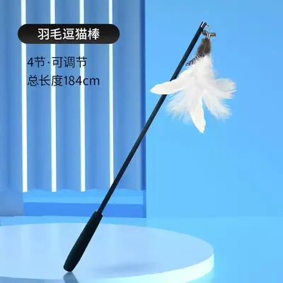 Retractable Cat Teaser Wand with Feather Replacement Heads and Bell, for Kittens - 8