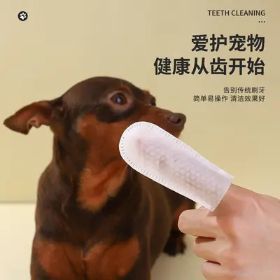 Pet toothbrush, disposable finger cots - 4