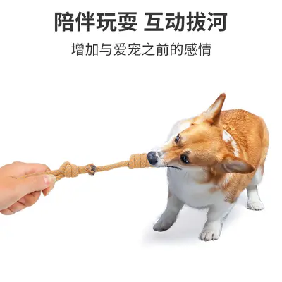 Amazon Cotton Rope Knot Dog Toys Large Collection, Chew-Resistant Squeaky Rope Knot Dog Toys for Teething and Boredom Relief - 3