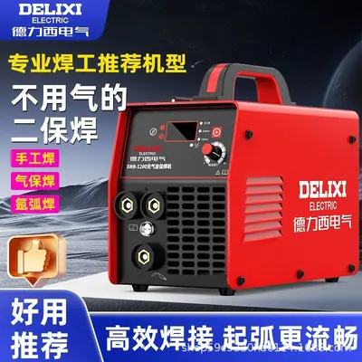 Delixi 220V Multifunction Gasless Welding Machine, Portable, Industrial Grade