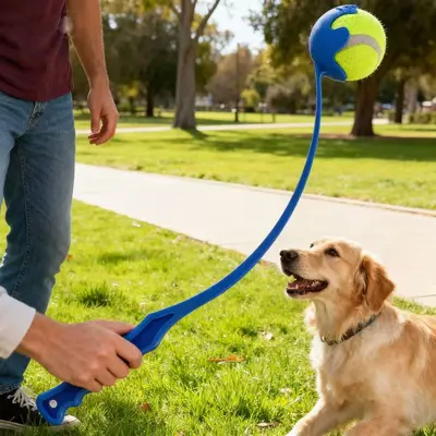 Plastic Dog Ball Launcher Stick, Outdoor Fetch and Pick-Up Tool