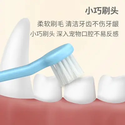 Pet toothbrush double-headed disposable oral care brush