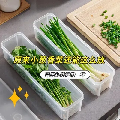 Cilantro Yeşil Soğan Saklama Kutusu Buzdolabı Taze Tutma Kutusu Kişniş Bütün Saklama Aracı Makarna Yumurta Hazırlık Taze Tutma Sızdırmaz Kapaklı
