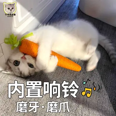 Üretici toptan kedi oyuncak kağıt halat havuç kendi kendine zevk ve sorgun giderici eser diş taşlama ve ısırmaya dayanıklı kedi malzemeleri kedi alay çubuğu