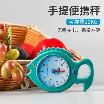 弹簧秤高精度手提称便捷式家用随身带小勾称小型手提多功能电子称