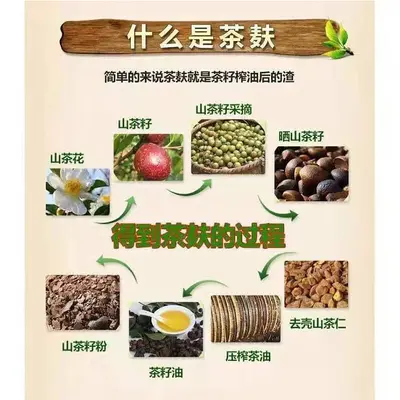 Junqi Tea Seed Anti-Dandruff Shampoo, Oil Control - 3
