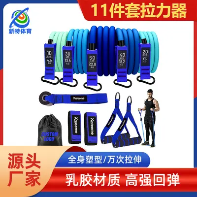 Multifunctional Resistance Bands Set, 11-Piece, Latex