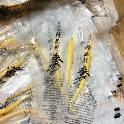 Frischer Changbai-Ginseng, nordostchinesische Spezialität, zum Ansetzen in Alkohol - 7