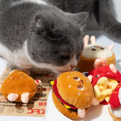 Catnip Chew Toy in Hamburger and Drumstick Shape