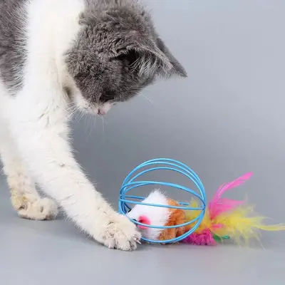 Plush Colorful Mouse Cat Toy, Self-Play - 3