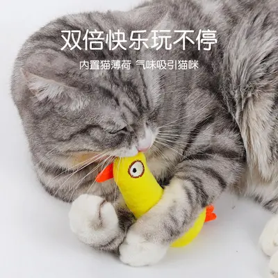 Cat Toy Set with Catnip Plush Toys and Teething Toys for Kittens - 4