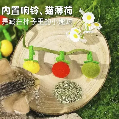 Bissfeste Tomaten-Katzenangel mit Glöckchen - 5