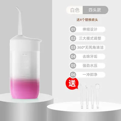 Electric Portable Water Flosser, Home Tartar Removal Teeth Cleaner - 11