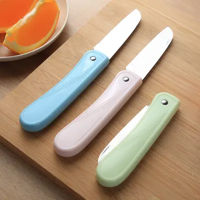 Edelstahl-Klappmesser für Obst, tragbar und kompakt
