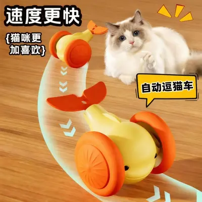 Kedi oyuncağı küçük balina arabası, interaktif eğlence
