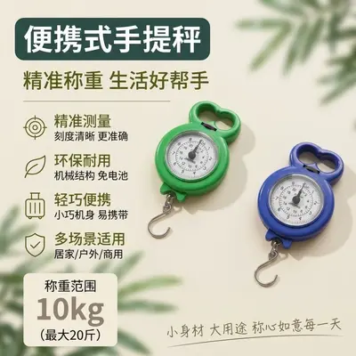便携式家用手提秤旅游弹簧秤教学生秤购物小秤快递秤手提秤