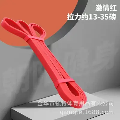 TPE Resistance Band Set with Pull-Up Assist Band and Door Anchor - 8