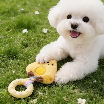 Durable Plush Squeaky Chew-Resistant Dog Toy - 2