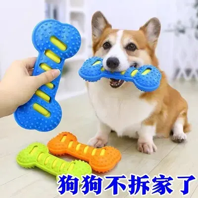 Çift katlı dayanıklı sesli köpek kemik oyuncağı, diş temizleme çubuğu - 4