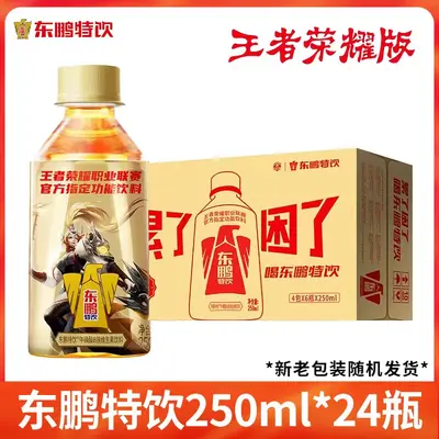 Dongpeng Enerji İçeceği, Vitaminli, 250 ml x 24 Kutu - 9