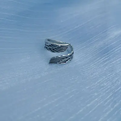 Personalized Angel Wings Feather Retro Ring, Simple Luxury Design - 10