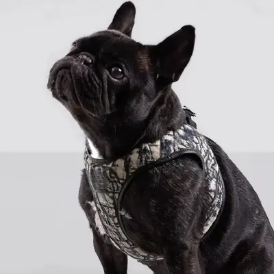 Dog Chest Harness Vest Style with Floral Pattern and Poop Bag Dispenser