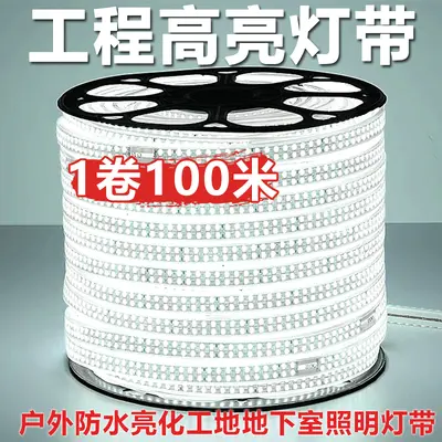 LED şerit 220V açık alan mühendislik aydınlatması su geçirmez dış ortam ışık şeridi hayvan üretimi kule vinç şantiye bodrum 24V36V
