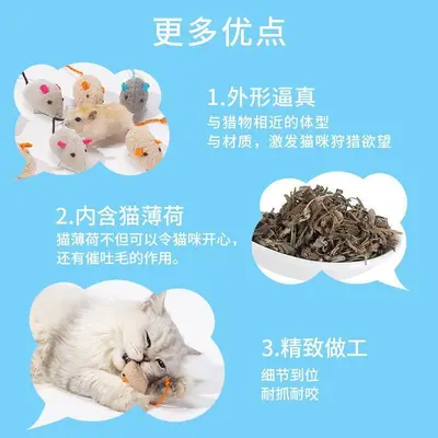 9个装猫玩具小老鼠自嗨解闷逗猫棒猫薄荷耐磨 - 5