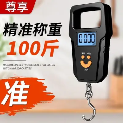 Electronic scale high-precision, portable