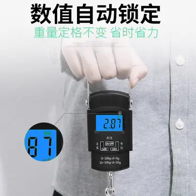 Electronic Hanging Scale 50kg, High Precision, Portable