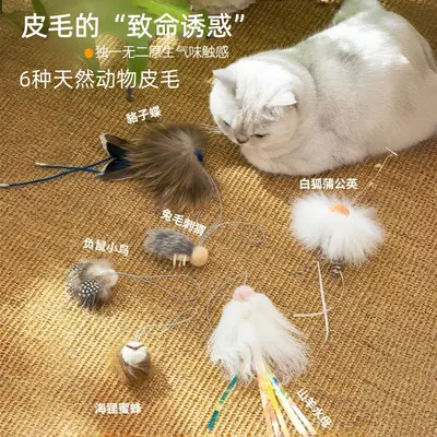 Three-Section Telescopic Cat Feather Wand with Bell - 3