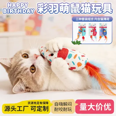 Cat Toy 2-Piece Set with Realistic Mouse and Teaser Wand for Kittens