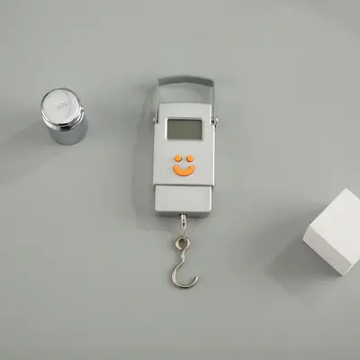 50kg elektronik terazi, hassas kargo ölçeği, yay sistemi - 7