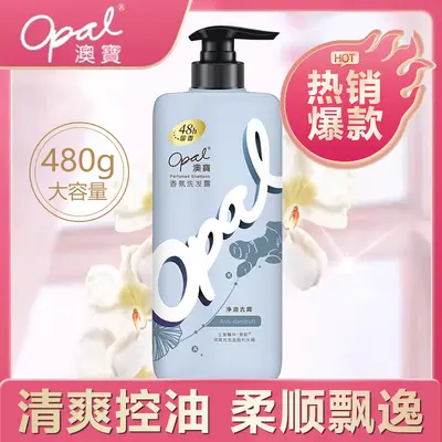 Aobao Shampoo 480 g, langanhaltender Duft, Anti-Schuppen, Fettkontrolle - 7