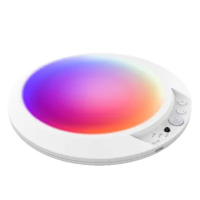 Wireless Magnetic Infrared Motion Sensor Hallway Ceiling Light