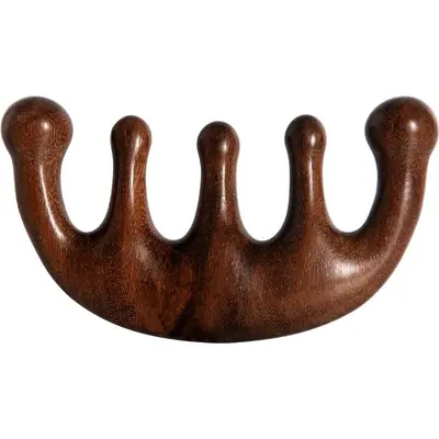 Head meridian massage comb, suitable for both men and women, scalp scraper for removing blockages, wide-tooth comb, portable meridian comb for hair therapy and massage.