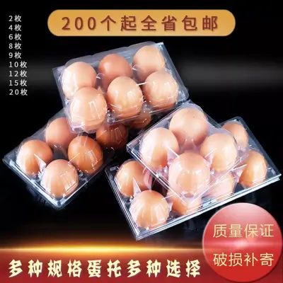 Transparent Plastic Egg Carton, Disposable, 10-Piece, for Chicken, Pigeon, Duck and Quail