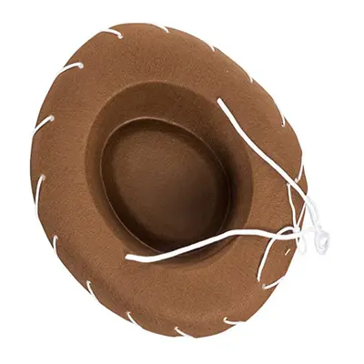 Western Cowboy Hat for Cosplay and Halloween, Large Brim, Non-Woven