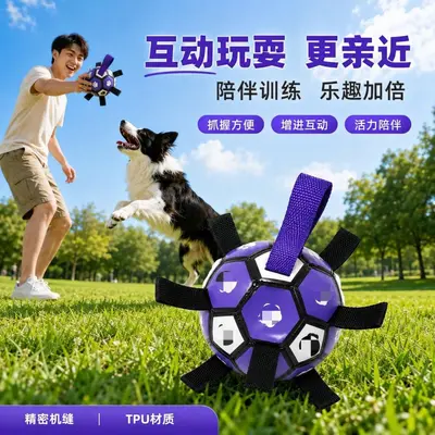 Köpek diş kaşıma topu, kauçuk, küçük ve orta ırk köpekler için - 5